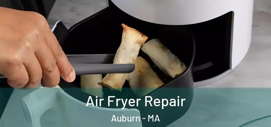 Air Fryer Repair Auburn - MA