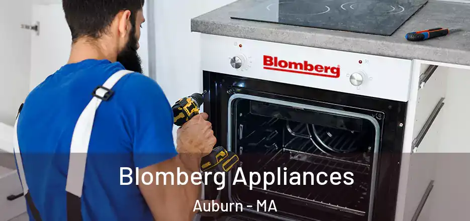  Blomberg Appliances Auburn - MA