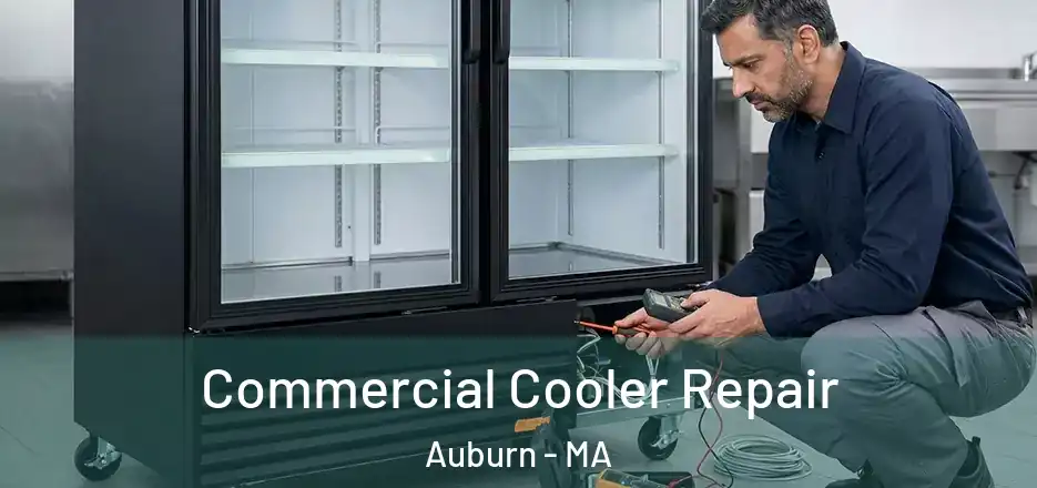 Commercial Cooler Repair Auburn - MA