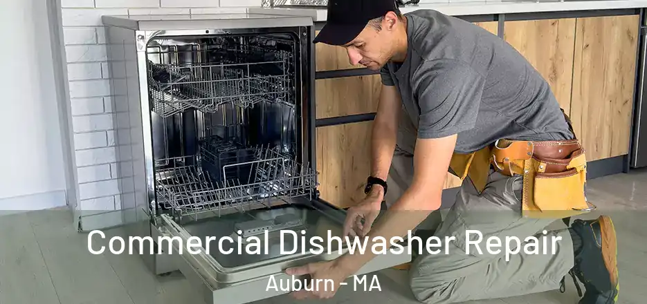Commercial Dishwasher Repair Auburn - MA