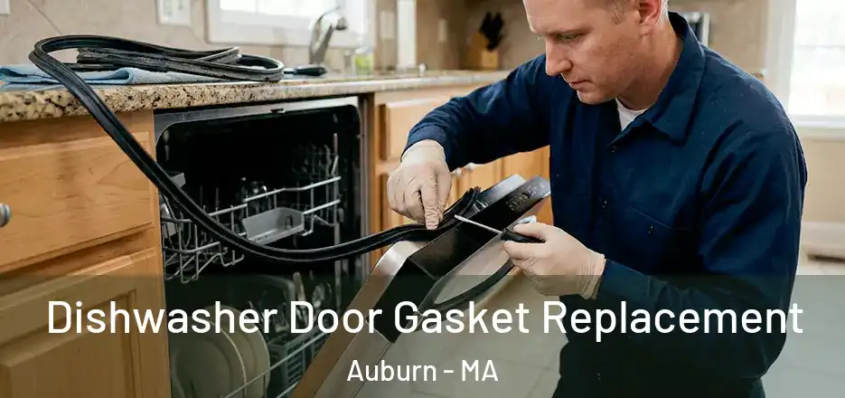 Dishwasher Door Gasket Replacement Auburn - MA