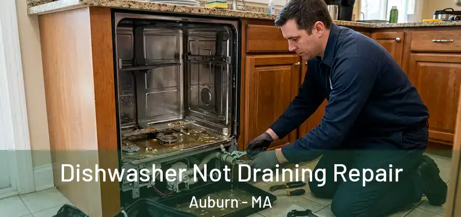 Dishwasher Not Draining Repair Auburn - MA