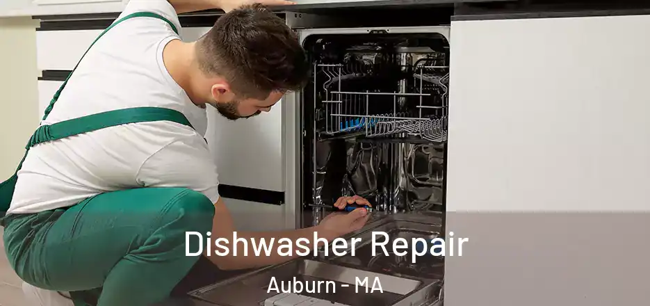 Dishwasher Repair Auburn - MA
