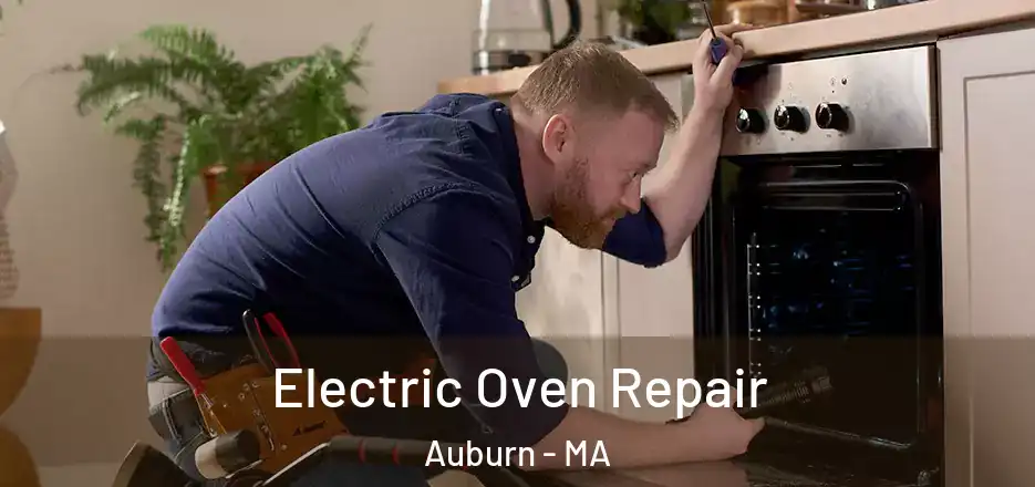 Electric Oven Repair Auburn - MA