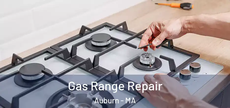 Gas Range Repair Auburn - MA