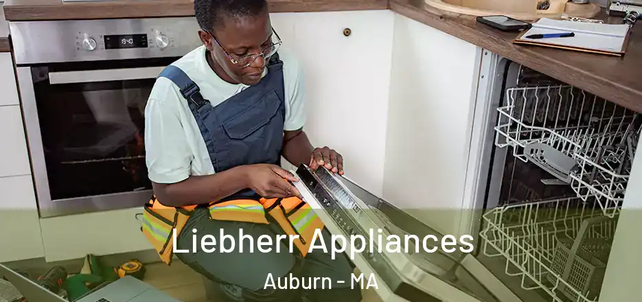  Liebherr Appliances Auburn - MA