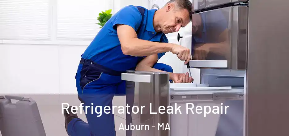 Refrigerator Leak Repair Auburn - MA